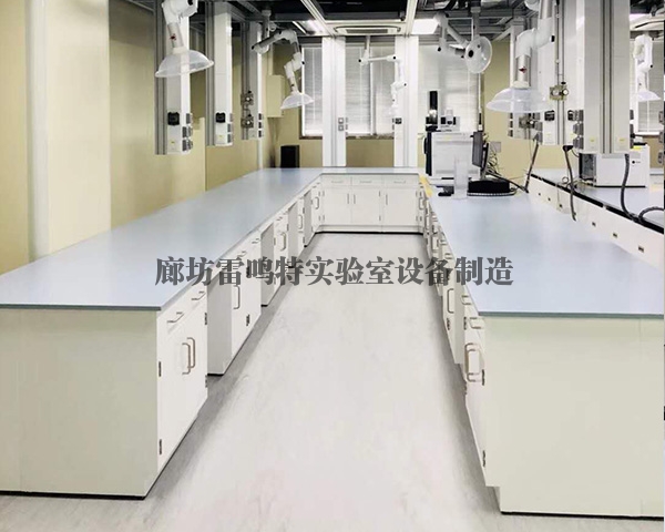 蘑菇视频真人版